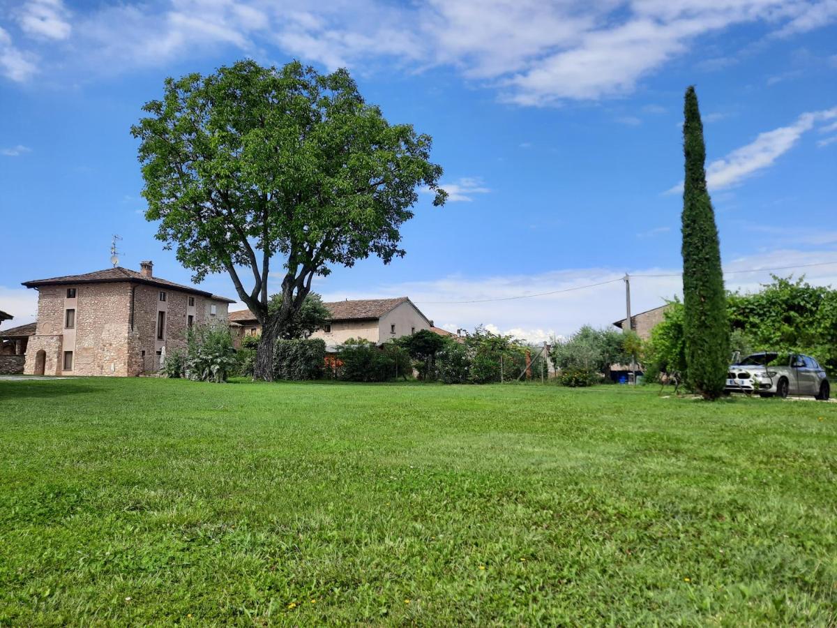 Corte Davini Agriturismo Monzambano Exterior foto