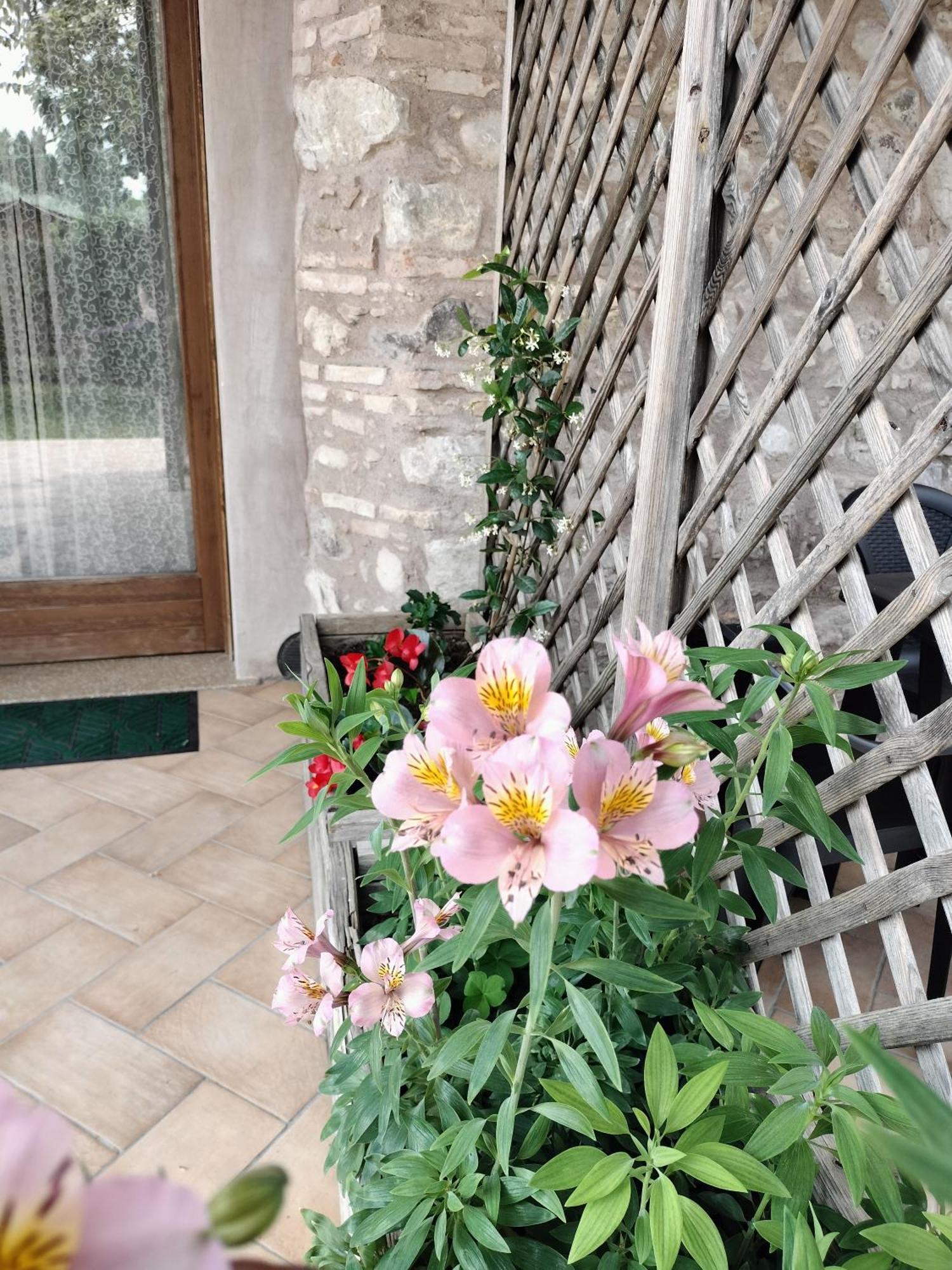 Corte Davini Agriturismo Monzambano Exterior foto